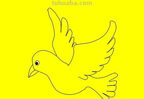 简笔画鸽子的画法 简笔画鸽子的画法