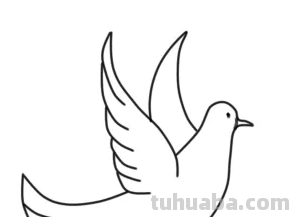 鸽子简笔画怎么画 鸽子简笔画怎么画