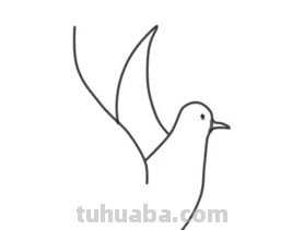 鸽子简笔画怎么画 鸽子简笔画怎么画
