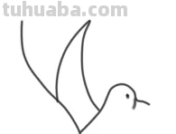 鸽子简笔画怎么画 鸽子简笔画怎么画