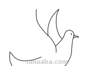 鸽子简笔画怎么画 鸽子简笔画怎么画