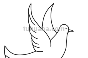 鸽子简笔画怎么画 鸽子简笔画怎么画