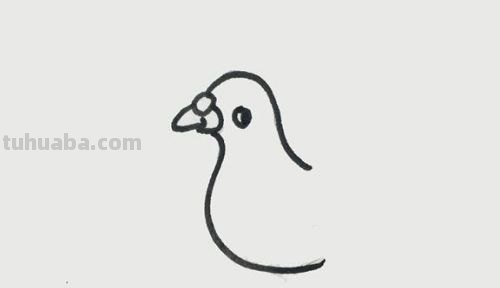 鸽子简易画法 鸽子简易画法