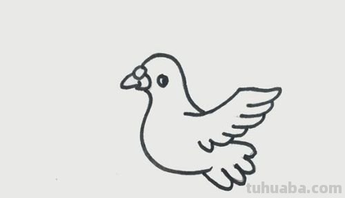 鸽子简易画法 鸽子简易画法