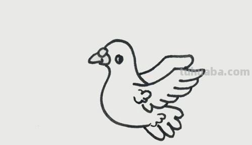 鸽子简易画法 鸽子简易画法