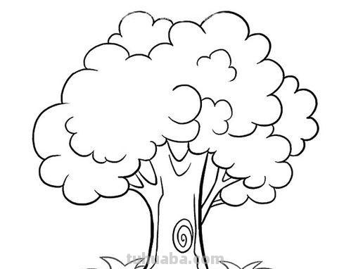 大树简笔画怎么画 大树简笔画怎么画好看