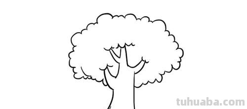 大树简笔画怎么画 大树简笔画怎么画好看