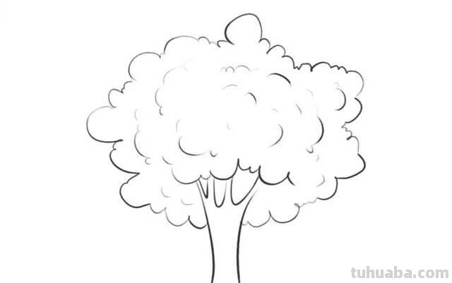 大树简笔画怎么画 大树简笔画怎么画好看