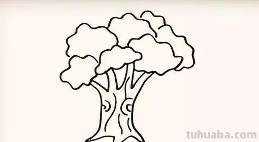 树的简笔画怎么画?