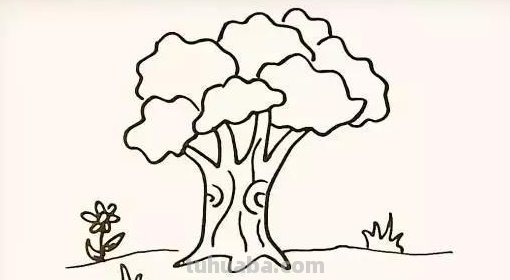 树的简笔画怎么画?