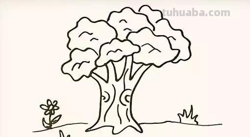 树的简笔画怎么画?