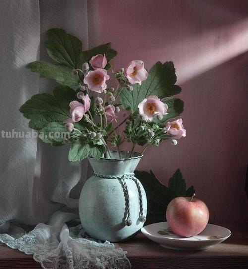 摄影美图：梦幻静物花卉，神仙配色，绘画素材