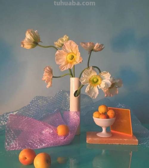 摄影美图：梦幻静物花卉，神仙配色，绘画素材
