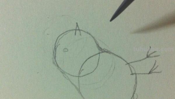 在家怎么画彩铅鸟儿 怎么画小鸟步骤教学？