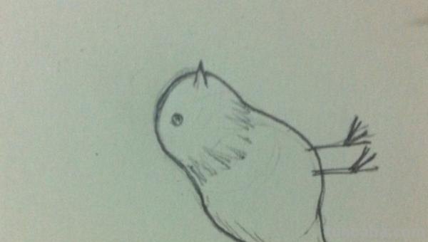 在家怎么画彩铅鸟儿 怎么画小鸟步骤教学？