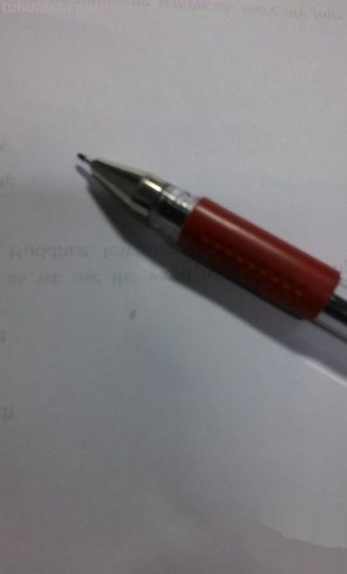 在家怎么画彩铅鸟儿 怎么画小鸟步骤教学？