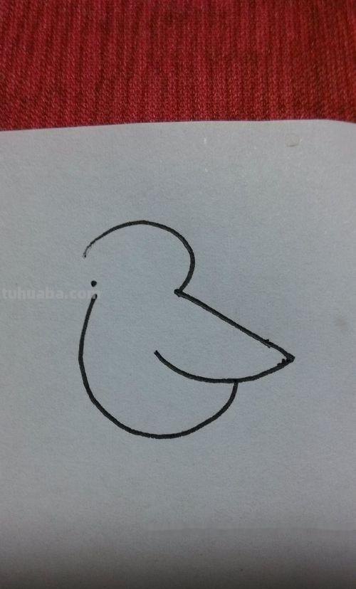 在家怎么画彩铅鸟儿 怎么画小鸟步骤教学？