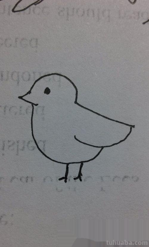 在家怎么画彩铅鸟儿 怎么画小鸟步骤教学？