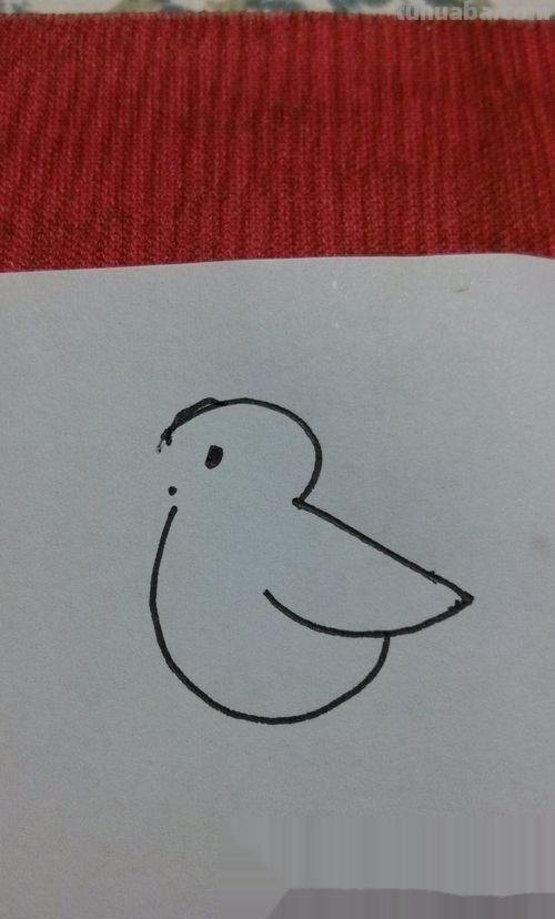 在家怎么画彩铅鸟儿 怎么画小鸟步骤教学？