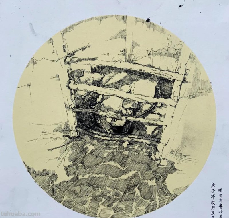 厚一学堂21届一批下乡写生速写优秀作品 厚一学堂21届一批下乡写生速写优秀作品