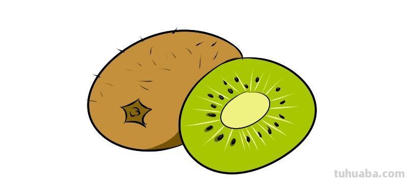 猕猴桃简笔画 猕猴桃简笔画图片彩色