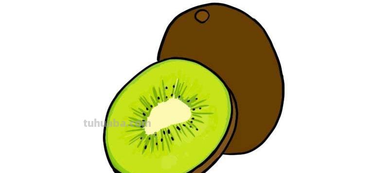 猕猴桃简笔画 猕猴桃简笔画图片彩色