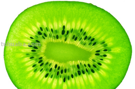 怎样的猕猴桃的简笔画