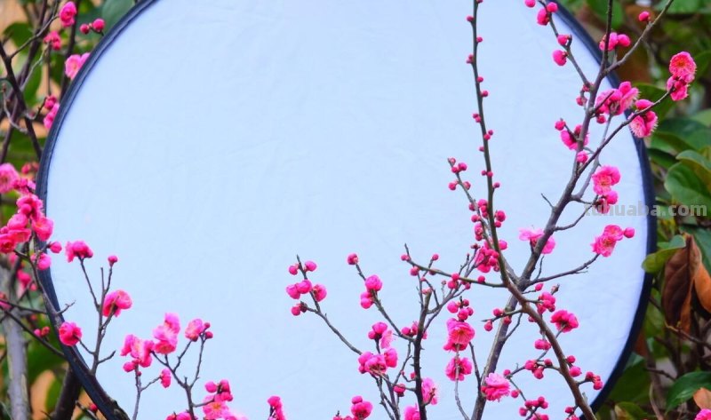 风光无限好,拍照有技巧,15张图解8个摄影小妙招 风光无限好,拍照有技巧,15张图解8个摄影小妙招