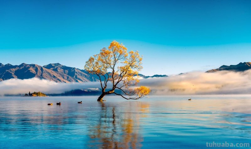 风光无限好,拍照有技巧,15张图解8个摄影小妙招 风光无限好,拍照有技巧,15张图解8个摄影小妙招