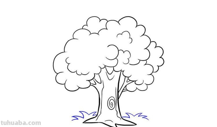 大树简笔画的步骤 大树简笔画的步骤图
