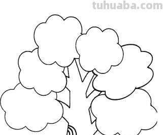 大树简笔画的步骤 大树简笔画的步骤图