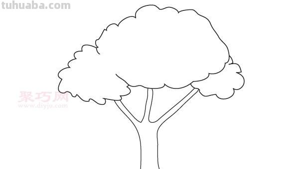 大树简笔画的步骤 大树简笔画的步骤图