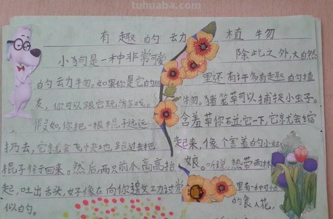 植物与地球读书卡怎么做 动植物阅读卡片制作？