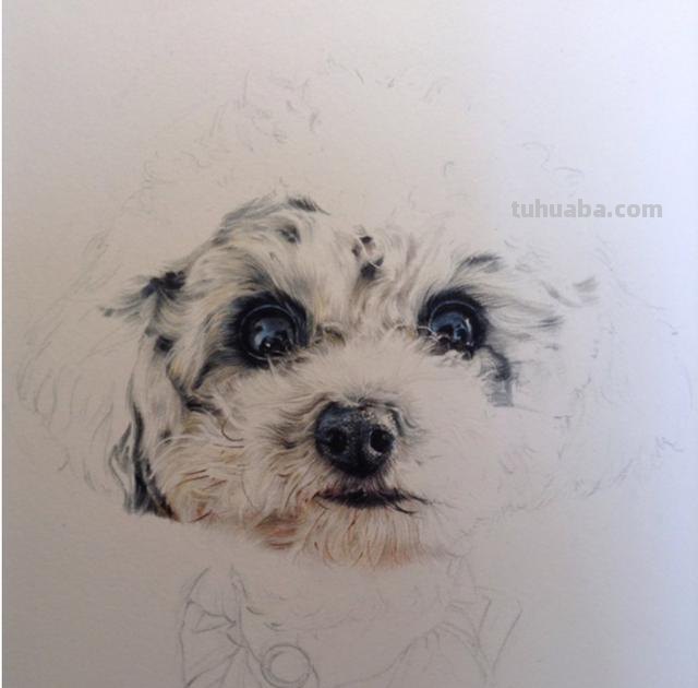 什么动物用彩铅画 怎么用彩铅画四大神兽? 什么动物用彩铅画 怎么用彩铅画四大神兽?