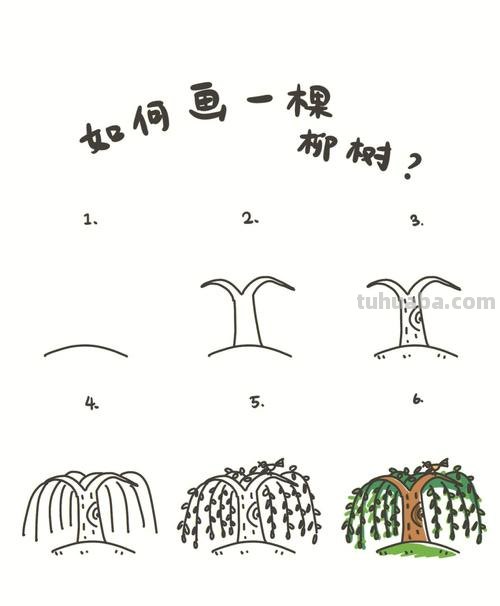 简笔画柳树怎么画 如何画柳树枝条？