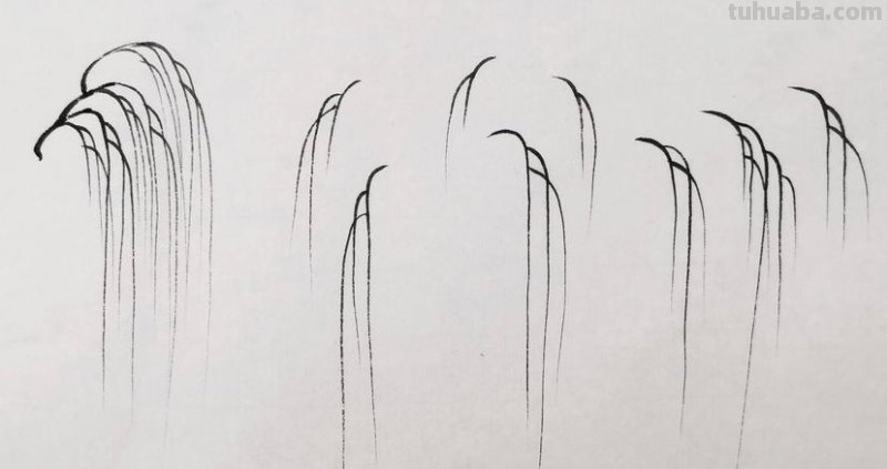 简笔画柳树怎么画 如何画柳树枝条？