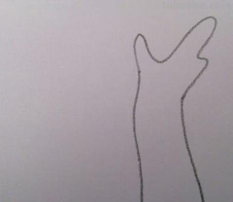 简笔画柳树怎么画 如何画柳树枝条？