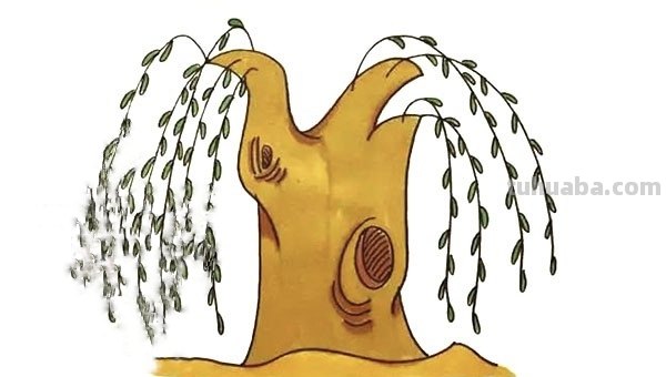 简笔画柳树怎么画 如何画柳树枝条？