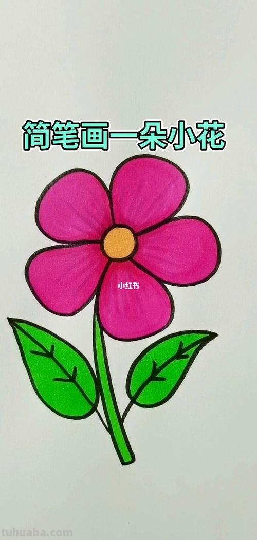 简单画一朵小花(零基础也能一起来画呀)