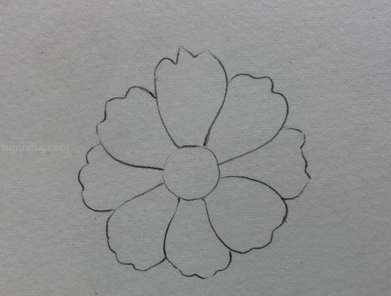 简单画一朵小花（零基础也能一起来画呀）