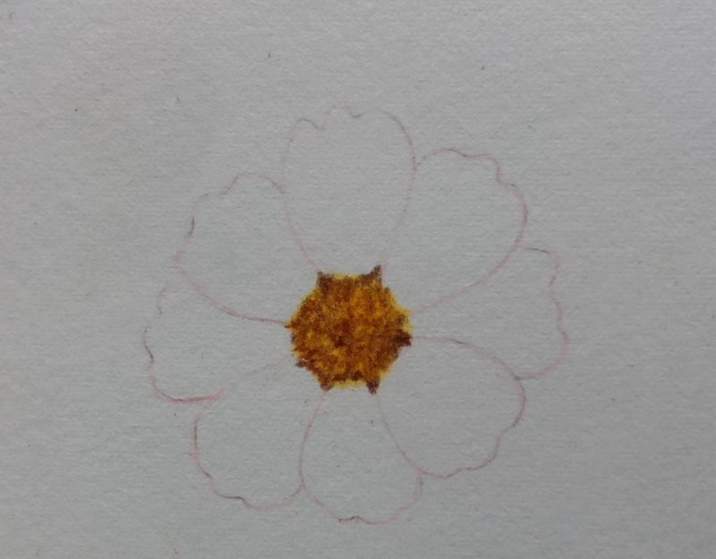 简单画一朵小花（零基础也能一起来画呀）