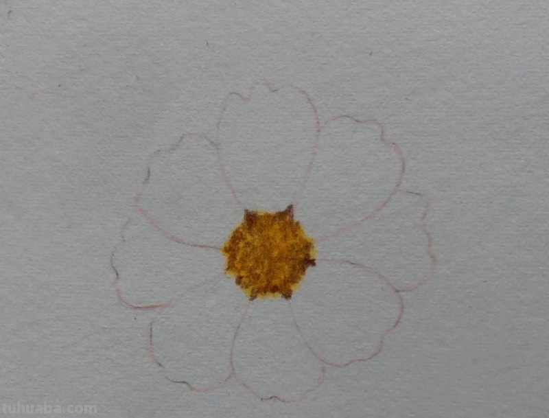 简单画一朵小花（零基础也能一起来画呀）