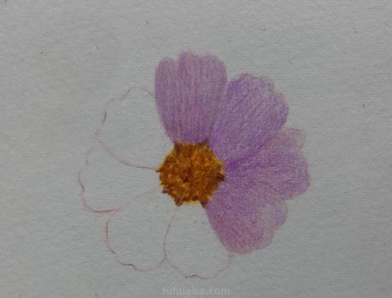 简单画一朵小花（零基础也能一起来画呀）
