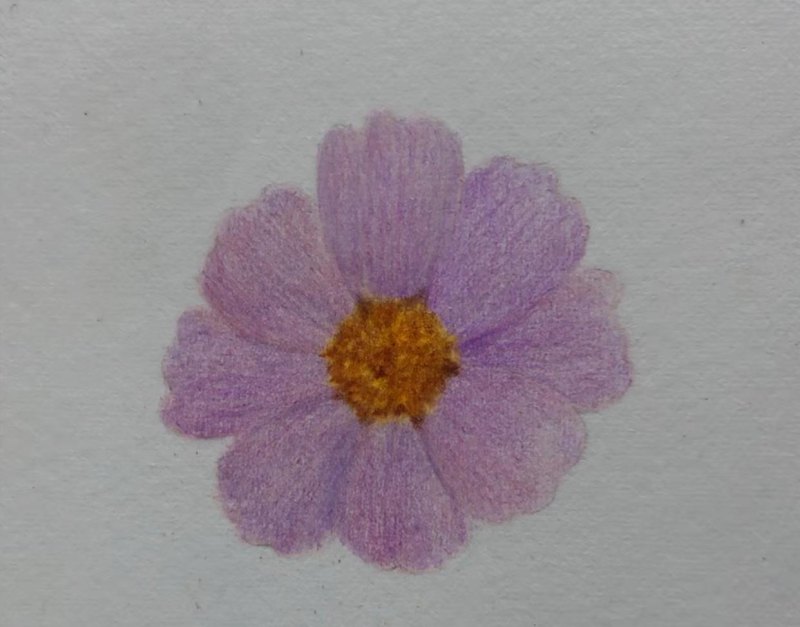 简单画一朵小花（零基础也能一起来画呀）