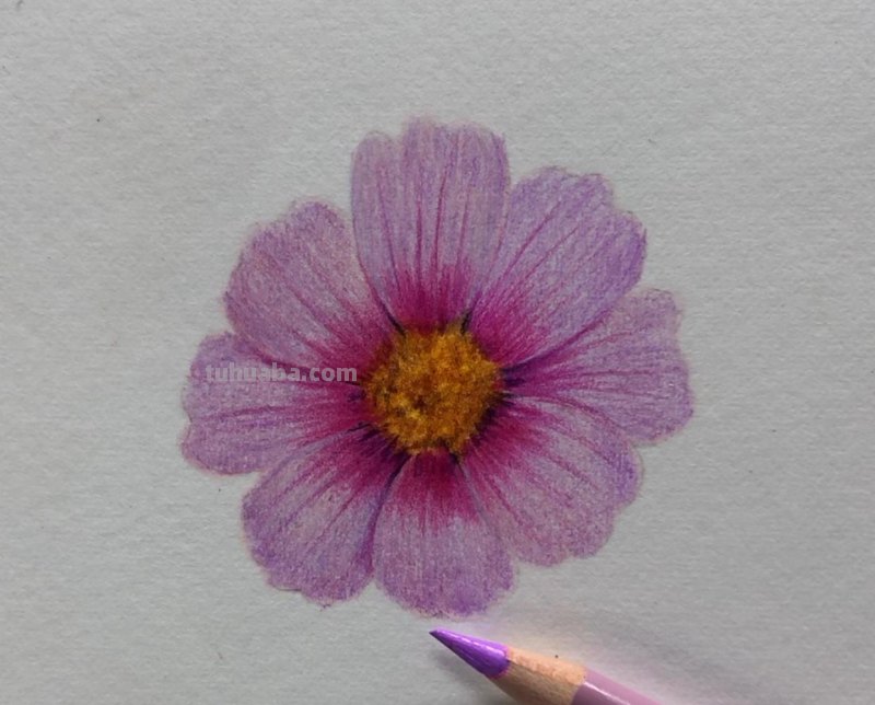 简单画一朵小花（零基础也能一起来画呀）