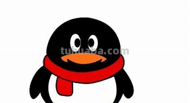 企鹅怎么画简笔画