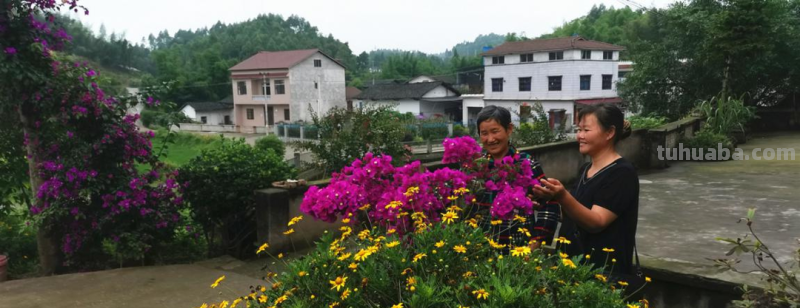 铜梁万年村：坚持“两手抓”既鼓钱袋子，又让乡村美