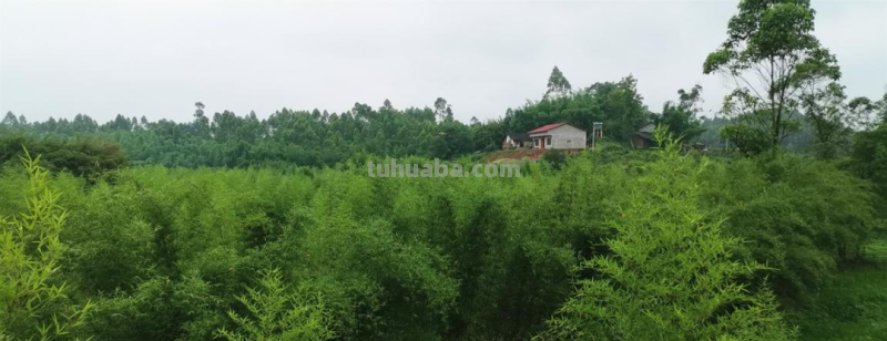 铜梁万年村：坚持“两手抓”既鼓钱袋子，又让乡村美