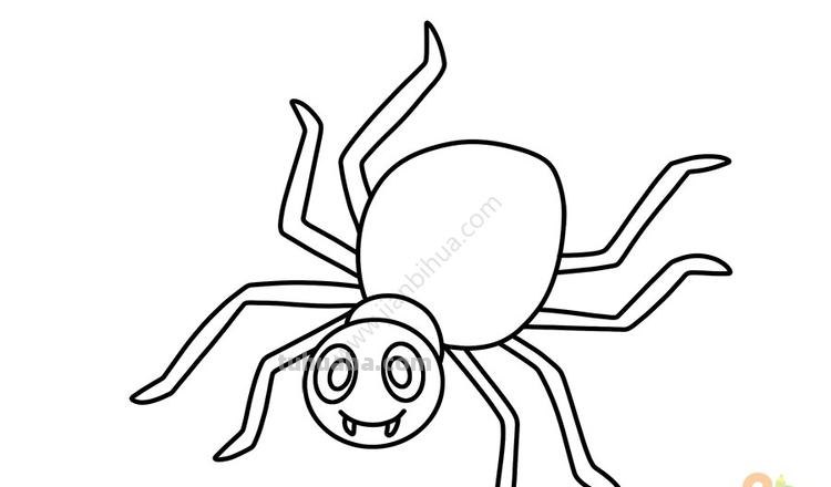 儿童简笔画精选-如何画一只蜘蛛（Spider）「节肢动物」