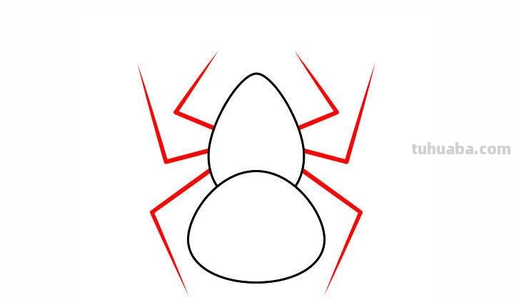 儿童简笔画精选-如何画一只蜘蛛（Spider）「节肢动物」